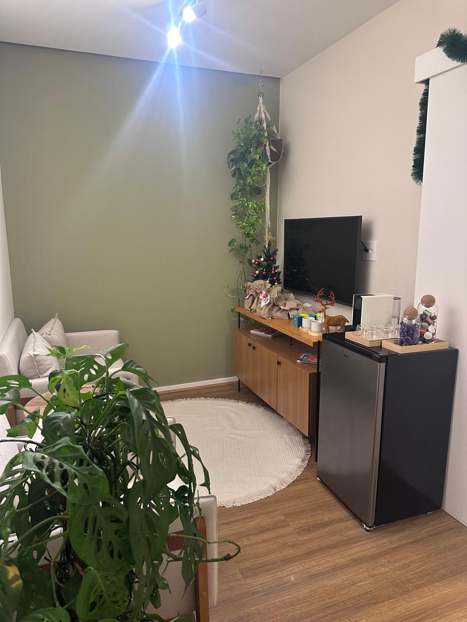 Sala de estar com parede verde e plantas